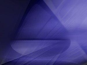 海外仓